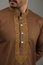 Exquisite Embroidery Work Panjabi. RR-439 - Image 3