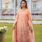Women Salwar Kamiz: DN-2522