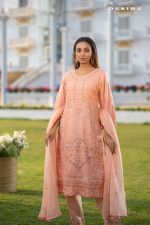 Women Salwar Kamiz: DN-2522