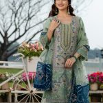 Women Salwar Kamiz: DN-2616