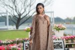 Women Salwar Kamiz: DN-2629 - Image 2