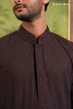 PK Grace Fabric Karchupi Work Panjabi. RR-555 - Image 2