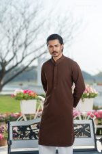 PK Grace Fabric Karchupi Work Panjabi. RR-554 - Image 3