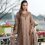 Women Salwar Kamiz: DN-2629