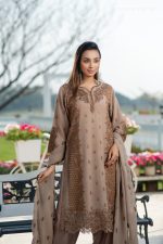 Women Salwar Kamiz: DN-2629