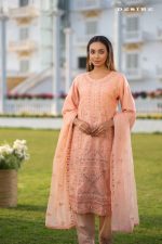 Women Salwar Kamiz: DN-2522 - Image 2