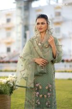 Women Salwar Kamiz: DN-2628 - Image 2