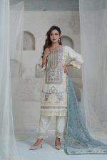 Women Salwar Kamiz: DN-2617