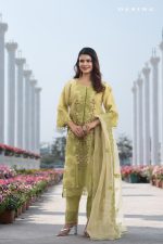 Women Salwar Kamiz: DN-2623 - Image 2